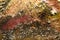 A section of an abstract piece of art with gradating colors and rough sediment surfaces