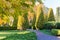 Section of autumn park with trimmed Juniper shrubs and trees