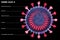 Section of the coronavirus. Microscopic view of covid-19. How SARS-Cov-2 is made. Vaccines, how they act on the virus.