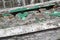 Section of decaying timber of rotting boat with peeling green paint