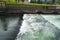 A Section of a Fish Ladder at the Bonneville Dam, Cascade Locks, Oregon, USA