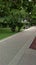 A section of green Parkway with a bench and trash bins in the South of Russia