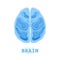 Section of the human brain in papercut style. Blue cardboard cutting layers symbol of right and left hemisphere