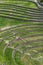 A section of the incredible ancient circles of Moray in Peru.