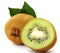 Section kiwi fruit