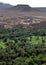 A section of the lush Tinerhir oasis in Morocco.