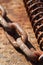 A section of rusted chain and coil