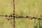 A Section of Rusty Barbed Wire Close-up