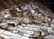 A section of the spectacular Maras salt evaporation ponds in Peru.