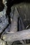 Sections of timber hold a wood platform up between the rocks in a mine