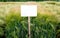 sectors demo plots with pointers, new varieties of winter barley