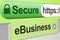 Secure eBusiness - Green