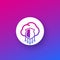 Secure hosting, cloud vector icon