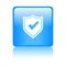 Secured / security icon web button