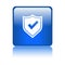 Secured / security icon web button