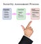 security assessment process