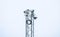 Security camera mast with equipment to provide surveillance and security.