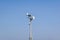 Security and satellite system with a surveillance camera, antenna and communications dishes on a pole against a sunny