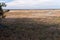 Sedge Meadow and Prairie at Necedah