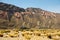 Sedimentary Layers - Jujuy - Argentina