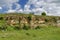 Sedimentary rock and meadow, Zavet town