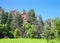 Sedona Arizona forest and rocks Green pine trees, grassy meadow in foreground