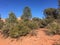 Sedona Arizona Mountains Scenic Views