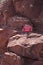 Sedona, Arizona: Please keep off the rocks