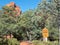 Sedona, Arizona, Red Rock Secret Mountain Wilderness