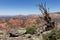 Sedona Arizona Schnebly Hill Vista Overlook May 2021