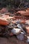 Sedona Arizona Slide rock state park