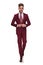 Seductive elegant man stepping forward and buttoning grena suit