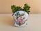 Sedum rubrotinctum jelly beans succulent plants or pork & beans succulent plant potted in a beautiful decorative ceramic planter