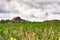 See Rock City barn in a corn field - horizontal