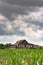 See Rock City barn in a corn field - vertical