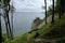 See-through trees Baltic Sea island Rugen Germany cliffs footpath