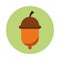 Seed acorn autumn nature icon