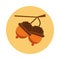 Seed acorn autumn nature icon