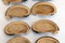 Seed coats of rubber trees or Hevea brasiliensis on a white background