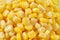 Seed corn