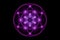 Seed of life, Sacred Geometry, Flower of Life, light logo Symbol of Harmony and Balance, Glowing Geometrical Ornament purple lotus