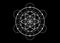 Seed of life symbol Sacred Geometry.  Geometric mystic mandala of alchemy esoteric Flower of Life. Vector white divine meditative