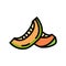 seed melon slice cantaloupe color icon vector illustration
