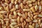 Seed yellow salt roasted peanut background