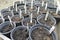 Seeded plants in pots