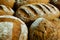 Seeded spelt loaves with honey.