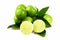 Seedless organic lime fruits Citrus aurantifolia isolated on w