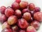 Seedless red grapes in white bowl, Close up view.