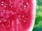 Seedless Watermelon