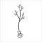 A seedling of a fruit tree. Planting and growing plants. Hand drawn sketch. Vector